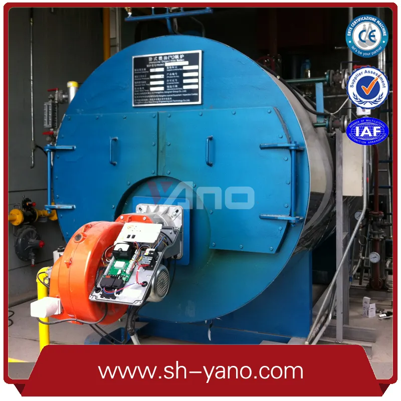 Самый продаваемый промышленный угольный паровой котел 50-1000 кг