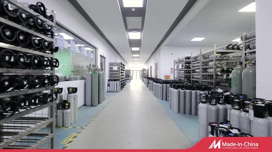 Паровой котел Wns Конденсационный газовый котел с низким содержанием NOx и высокой тепловой эффективностью